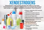 A look at why you need to reduce your exposure to xenoestrogens to help reduce the symptoms of endometriosis