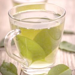 Green tea benefits for endometriosis