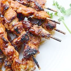 Spicy chicken kebabs - endometriosis diet friendly