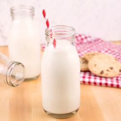 Safe ingredients for the endo diet