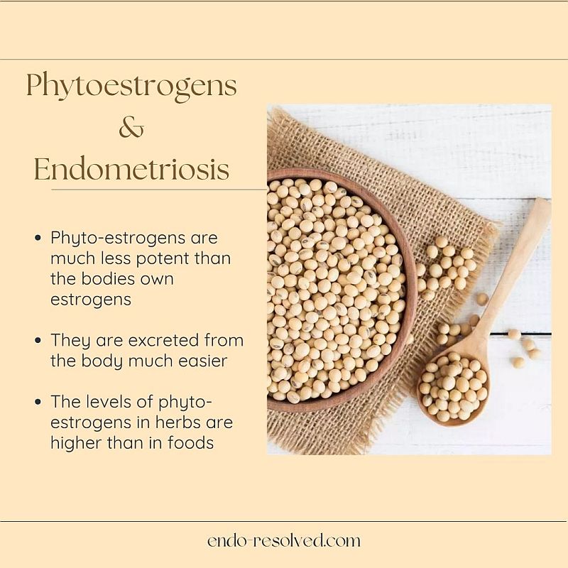 Phyto-estrogens in diet with endometriosis pyto-estrogens and diet