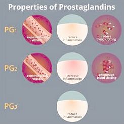 Prostaglandins and how they affect pain with endometriosis