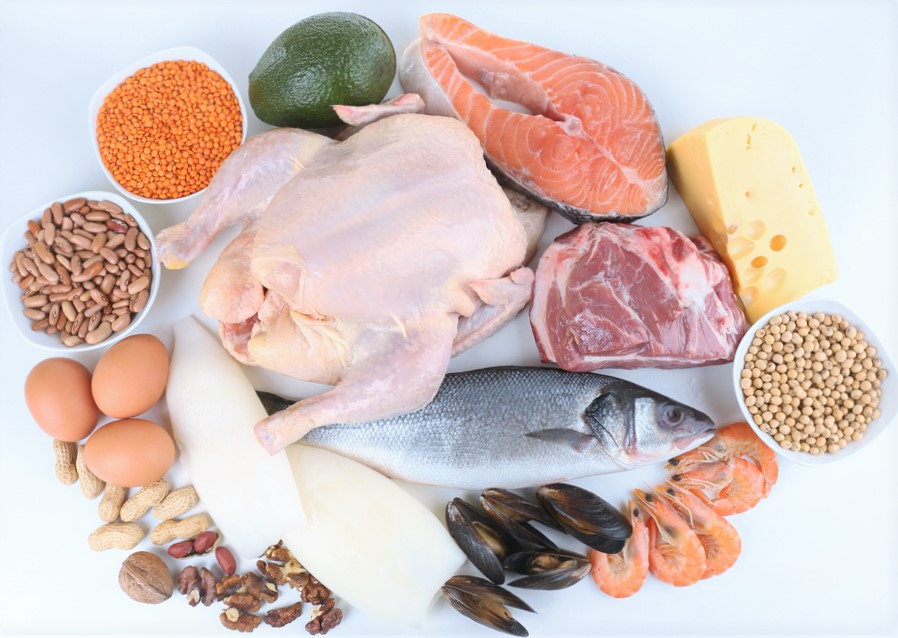 endometriosis diet and protein