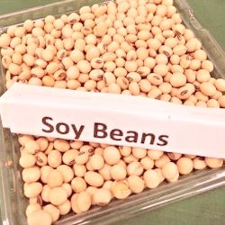 Why you need to omit soy from your diet