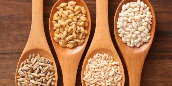 A description of whole grains and how they affect your health when using diet to control endometriosis