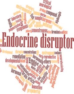 Endometriosis and endocrine disruptors