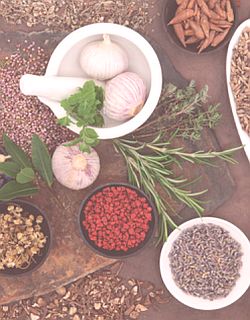 Herbal remedies for endometriosis