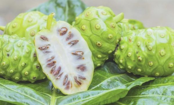 Noni juice benefits for endometriosis