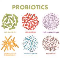 Certain probiotics can help endometriosis