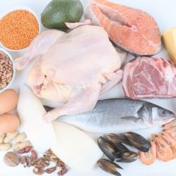 Protein intake when on the endo diet