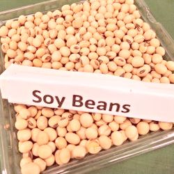 Why you need to omit soy from your diet