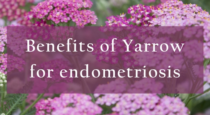 Benefits of yarrow for endometriosis